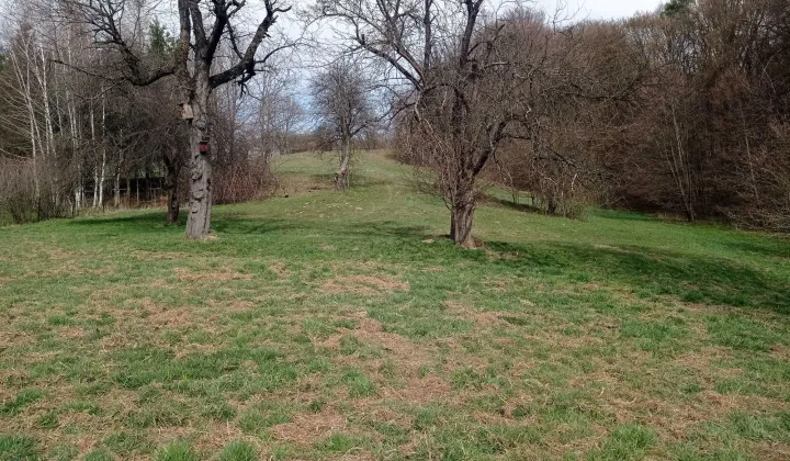 Działka rolno-budowlana Czudec, ul. Strumykowa