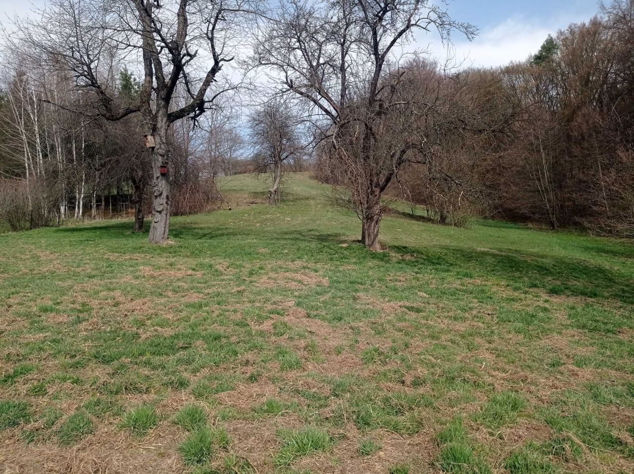 Działka rolno-budowlana Czudec, ul. Strumykowa. Zdjęcie 1