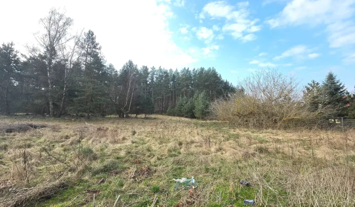 Działka budowlana Dargomyśl