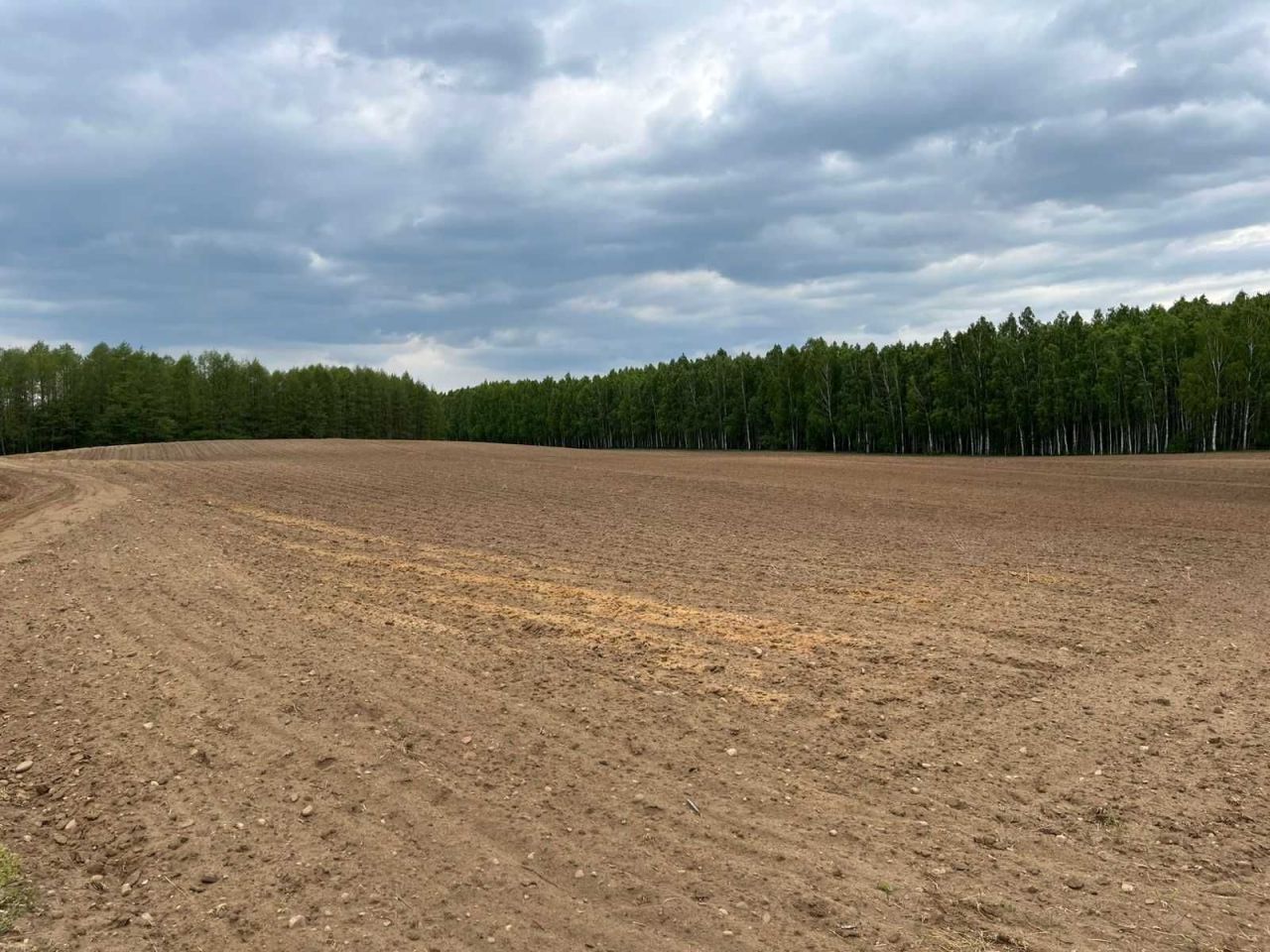 Działka rolna Puszcza Miejska. Zdjęcie 7