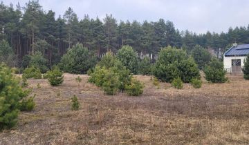 Działka rolno-budowlana Palaty