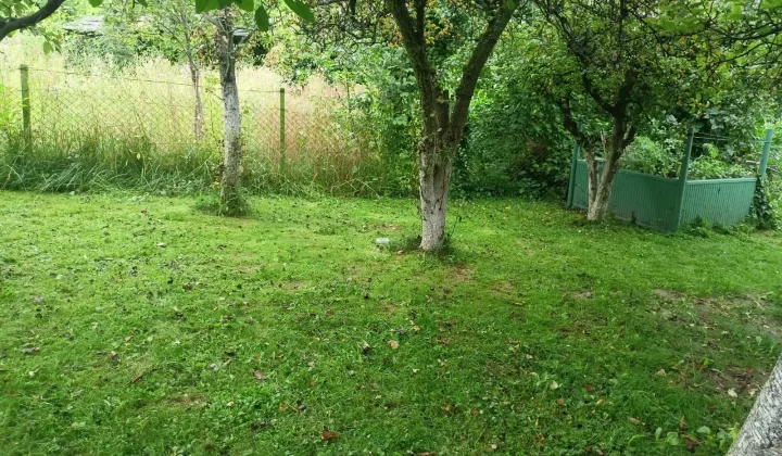 Działka rod Strzegom