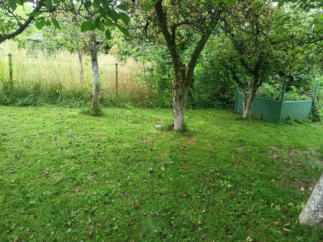 Działka rod Strzegom