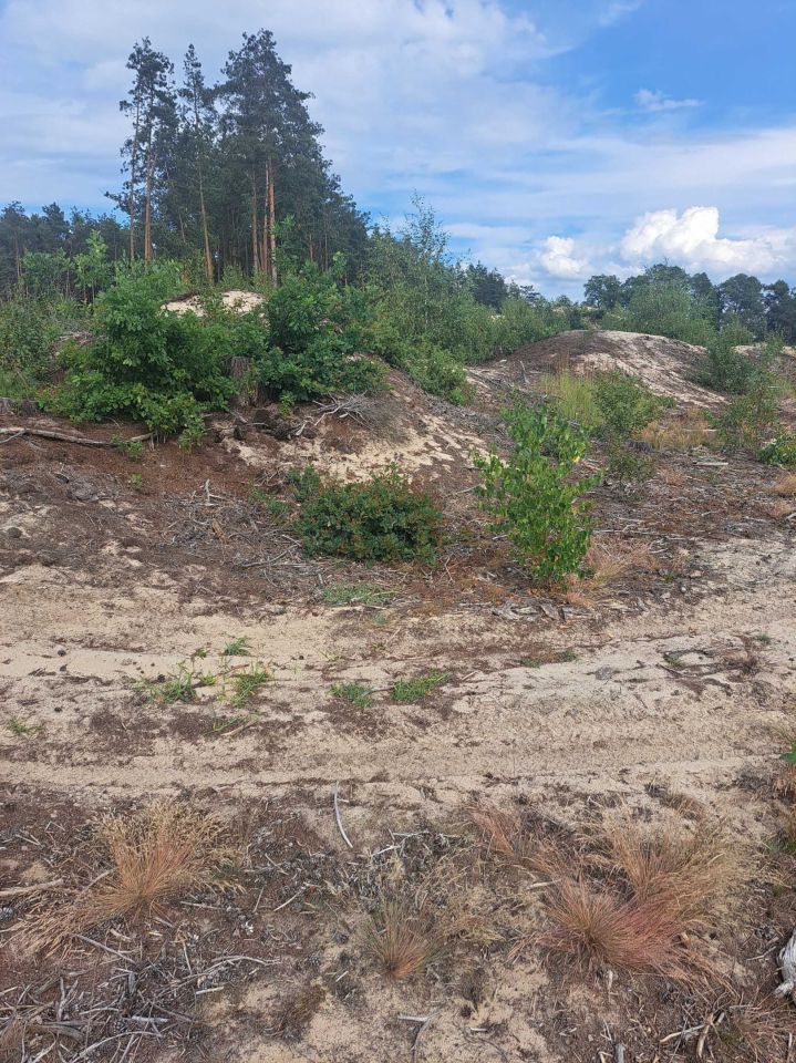 Działka rekreacyjna Kosiorów. Zdjęcie 3