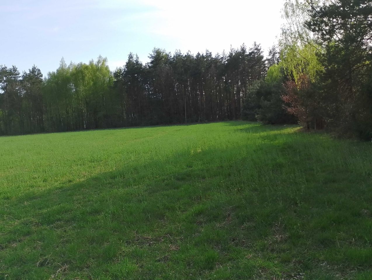 Działka budowlana Nowa Wieś. Zdjęcie 5