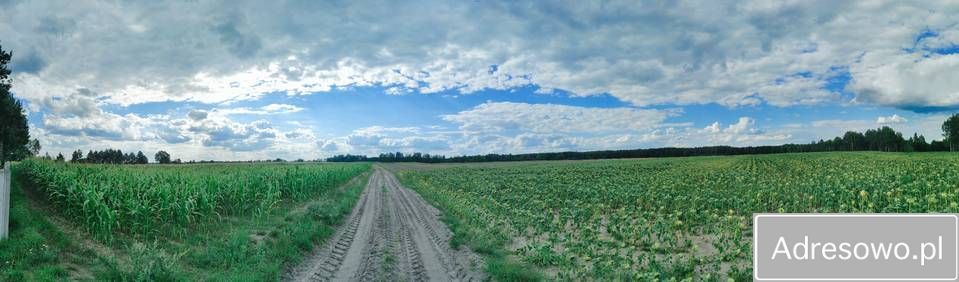 Działka budowlana Ujeździec Mały. Zdjęcie 2