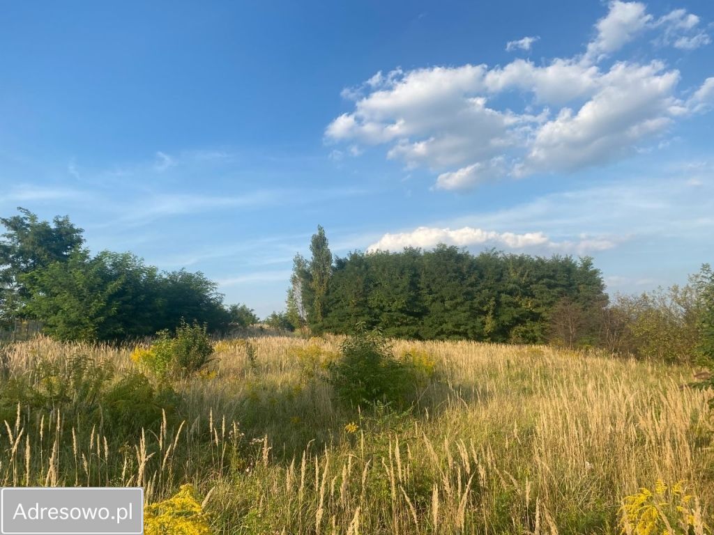 Działka rolna Sosnowiec Zagórze, ul. Teofila Lenartowicza