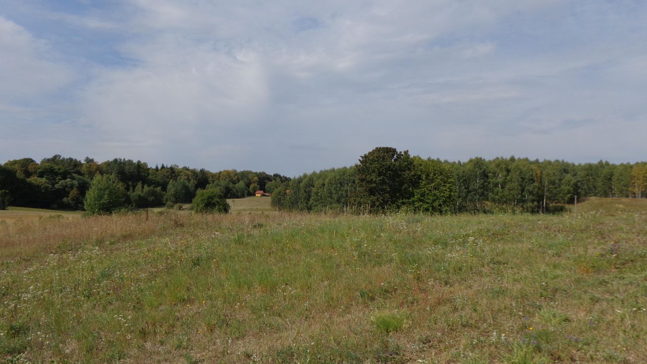 Działka budowlana Jędrychowo Rodowo. Zdjęcie 7