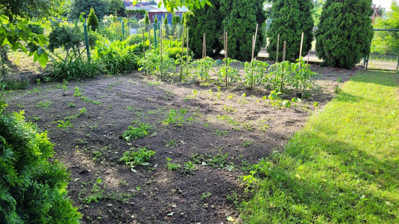 Działka rod Babimost, Żwirki I Wigury. Zdjęcie 8