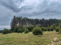 Działka budowlana Koronowo Pieczyska, ul. Lipkusz. Zdjęcie 2