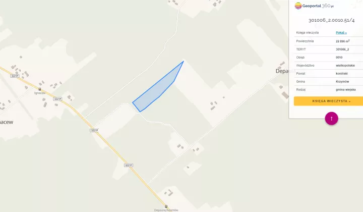 Działka leśna Depaula