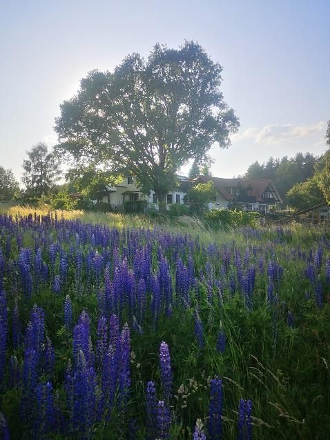 Hotel/pensjonat Jakubowo. Zdjęcie 9