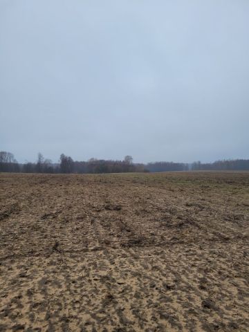 Działka rolna Tupadły. Zdjęcie 1