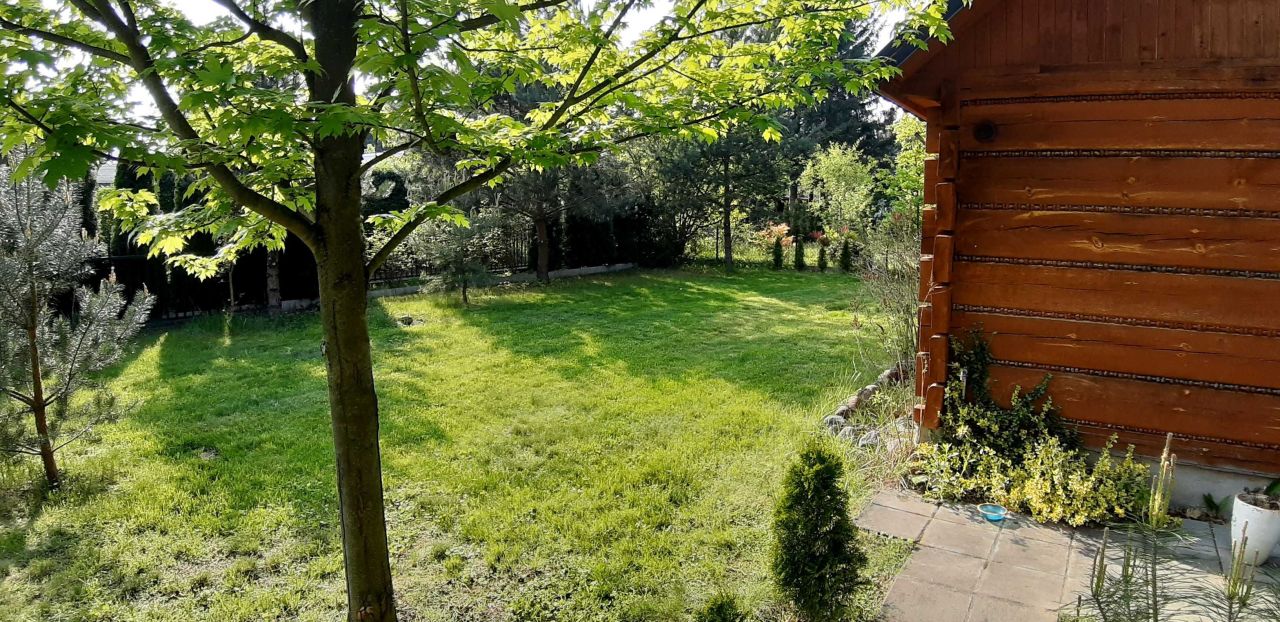 Działka rod Szczaki, ul. Mrokowska. Zdjęcie 5