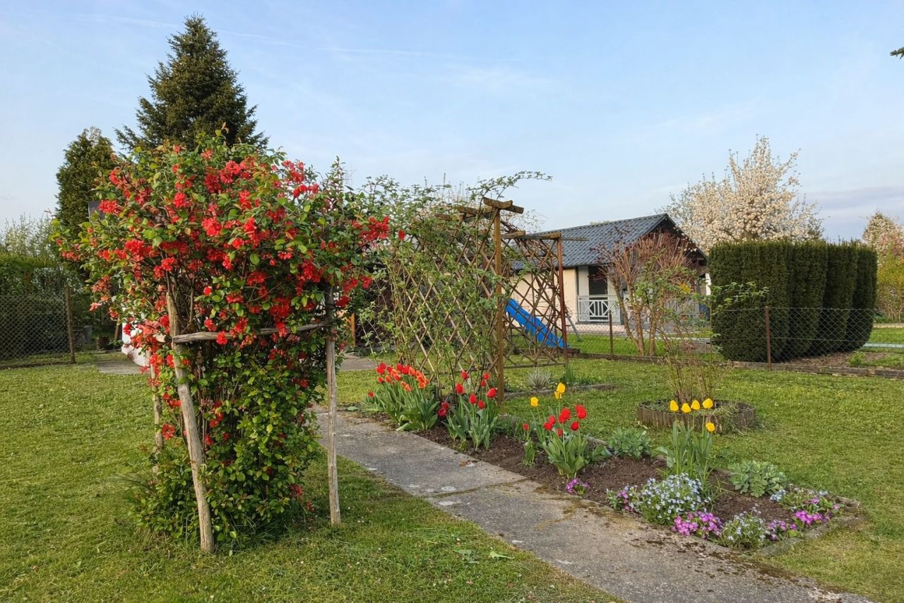 Działka rod Skawina. Zdjęcie 7