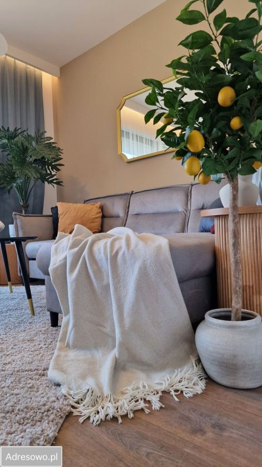 bliźniak, 4 pokoje Katowice Podlesie, ul. Waniliowa. Zdjęcie 12