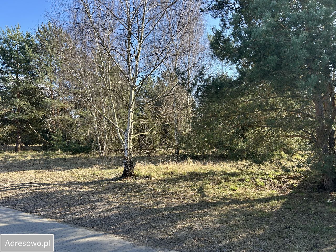 Działka budowlana Jęczydół, ul. Magnolii. Zdjęcie 1