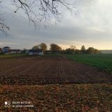 Działka rolno-budowlana Jeżewo Nowe. Zdjęcie 2