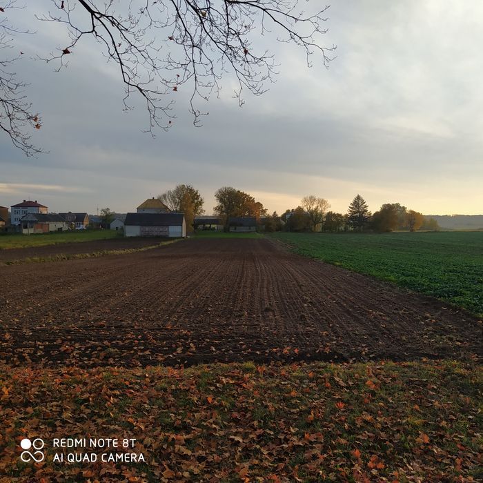 Działka rolno-budowlana Jeżewo Nowe. Zdjęcie 3
