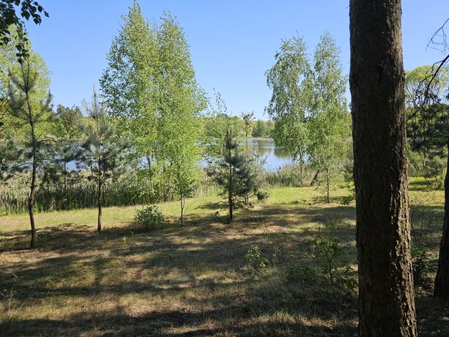 Działka inwestycyjna Macikowo. Zdjęcie 4