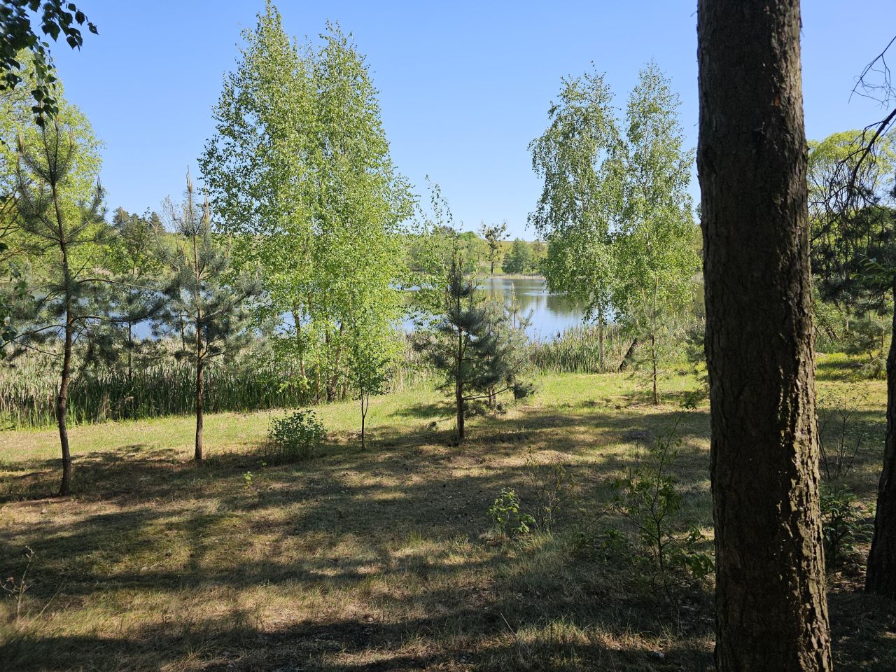 Działka inwestycyjna Macikowo. Zdjęcie 4