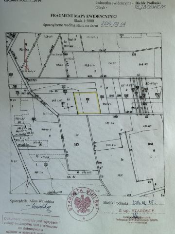 Działka leśna Jacewicze. Zdjęcie 1