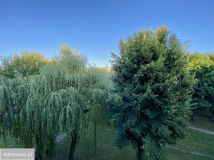 Mieszkanie 2-pokojowe Częstochowa Raków, ul. Leśmiana. Zdjęcie 3