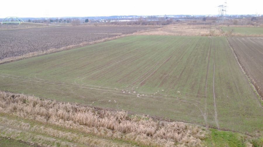 Działka rolna Gdańsk Rudniki, ul. Tama Pędzichowska. Zdjęcie 4