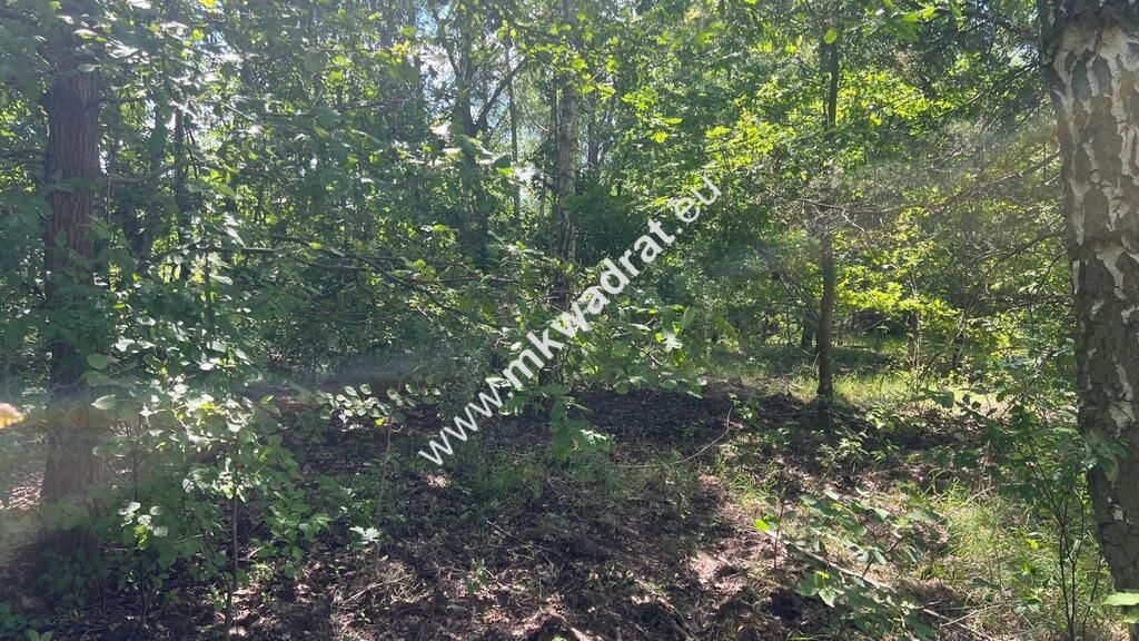 Działka budowlana Radonie. Zdjęcie 17