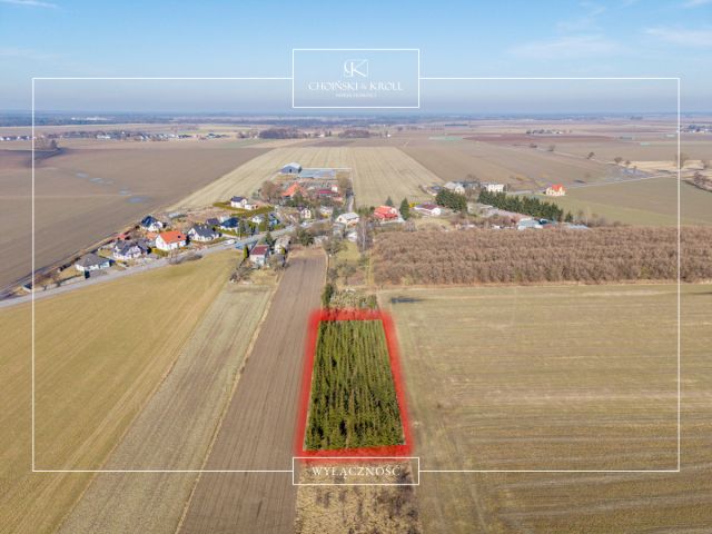 Działka rolna Łowęcin, ul. Sarbinowska. Zdjęcie 1