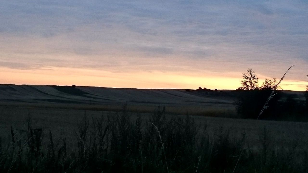 Działka rolno-budowlana Klimontów. Zdjęcie 2