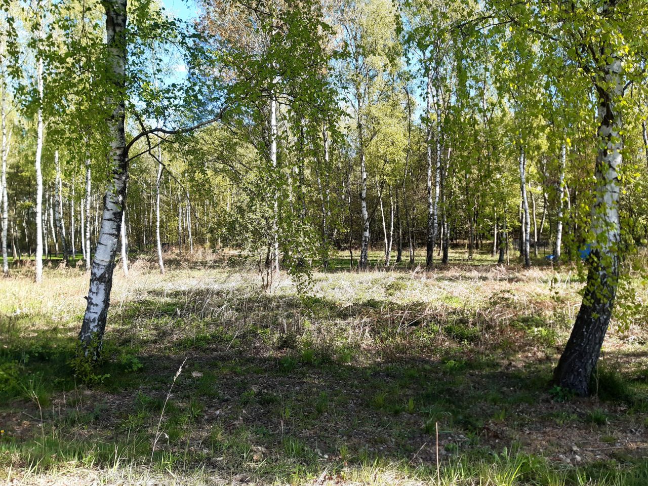 Działka budowlana Bukowiec, ul. Bukowa. Zdjęcie 11