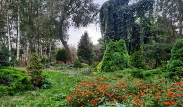 dom wolnostojący, 8 pokoi Józefin