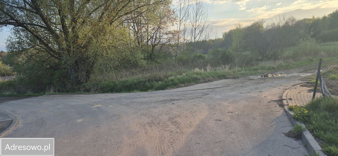 Działka rolna Wielichowo. Zdjęcie 3