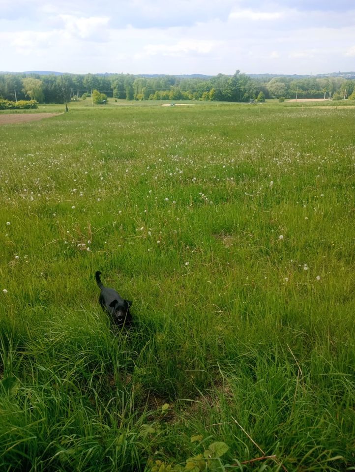 Działka budowlana Ustroń Lipowiec, ul. Przetnica