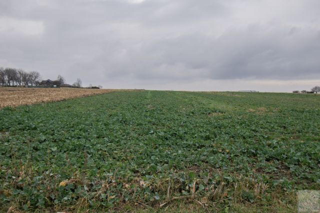 Działka budowlana Morawsko. Zdjęcie 7