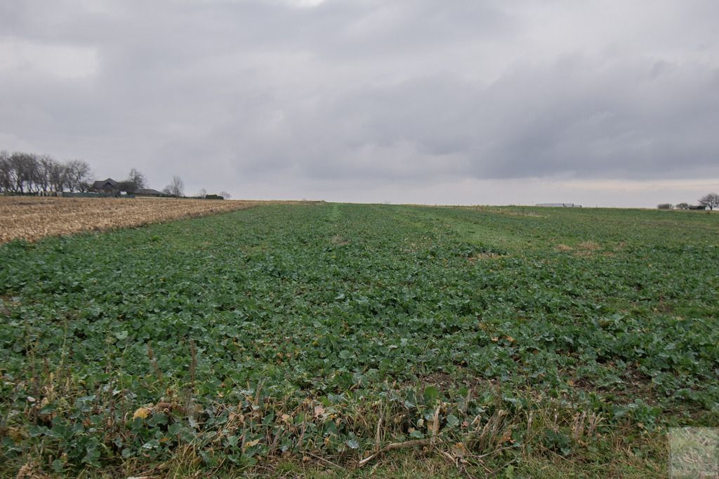 Działka budowlana Morawsko. Zdjęcie 7