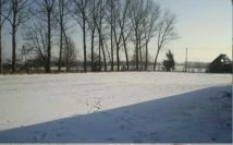 Działka budowlana Kiczki Pierwsze. Zdjęcie 3