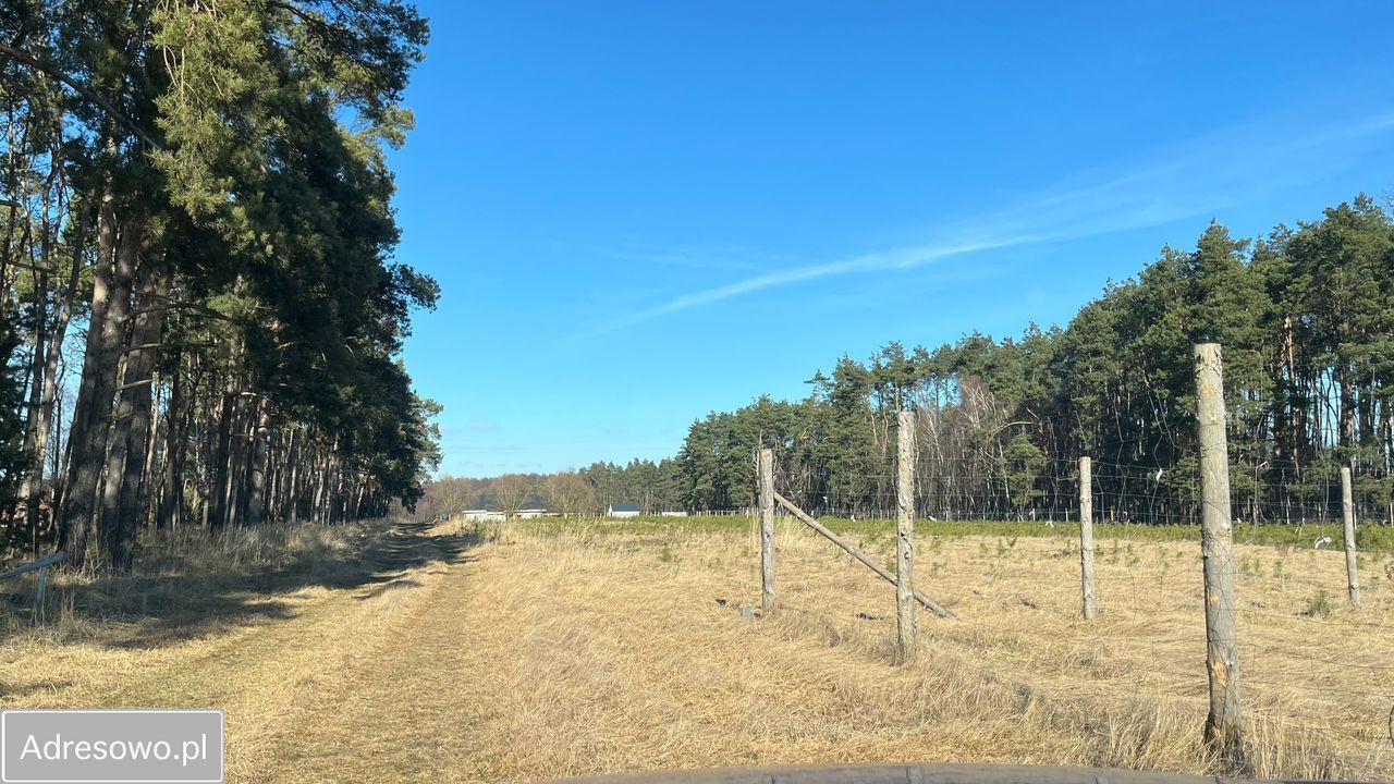 Działka budowlana Imielno. Zdjęcie 3