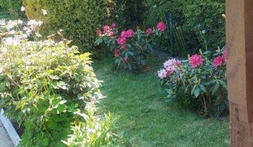 Działka rod Gdańsk Rębiechowo, ul. Nowatorów