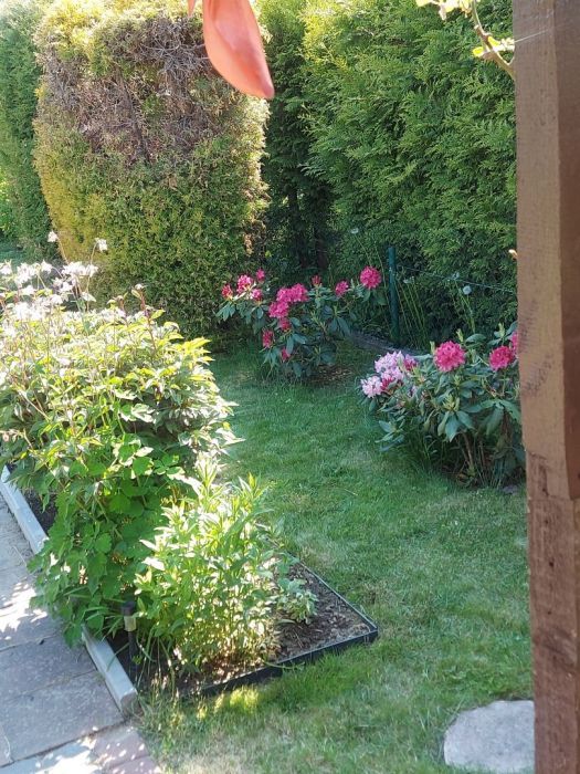 Działka rod Gdańsk Rębiechowo, ul. Nowatorów. Zdjęcie 2