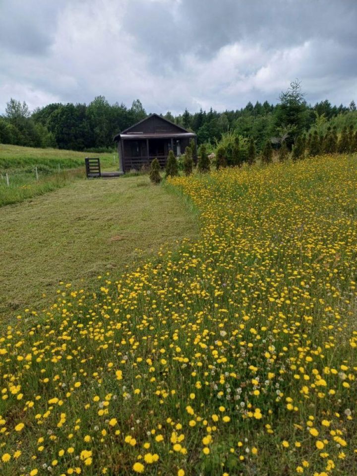Działka budowlana Nowa Wieś Przywidzka, ul. Zielona. Zdjęcie 6
