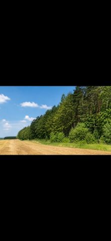 Działka budowlana Maksymilianów. Zdjęcie 1