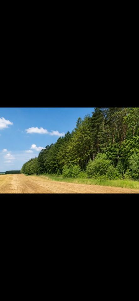 Działka budowlana Maksymilianów. Zdjęcie 1