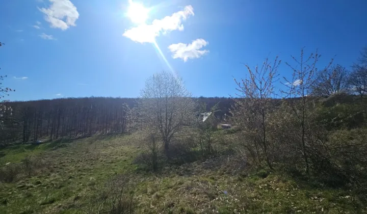 Działka Kłonice