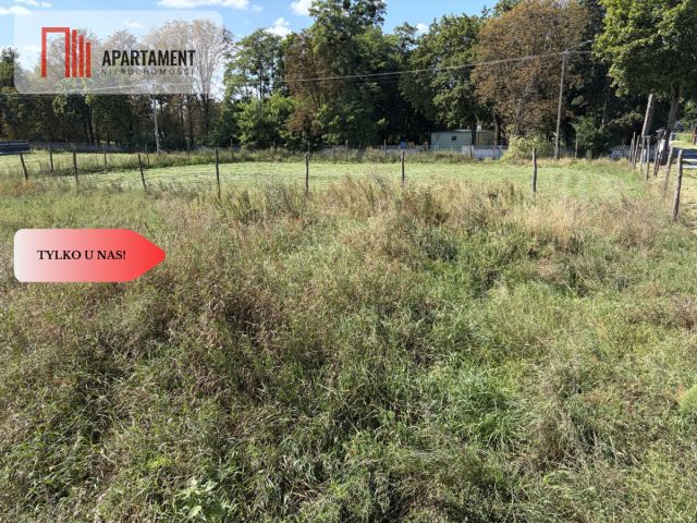 Działka inwestycyjna Samoklęski Duże. Zdjęcie 6