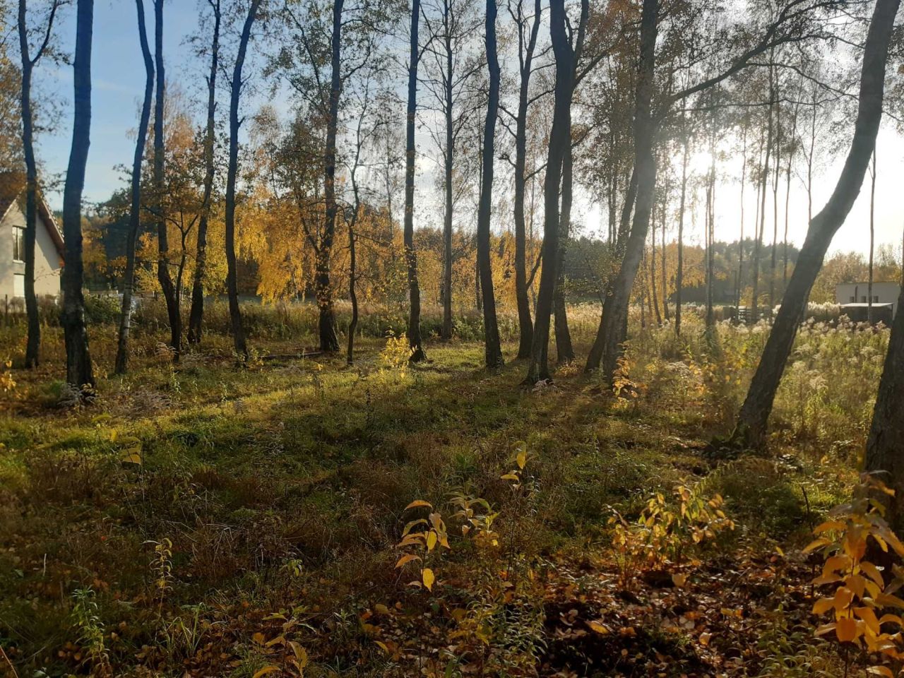 Działka budowlana Bukowiec, ul. Bukowa. Zdjęcie 9