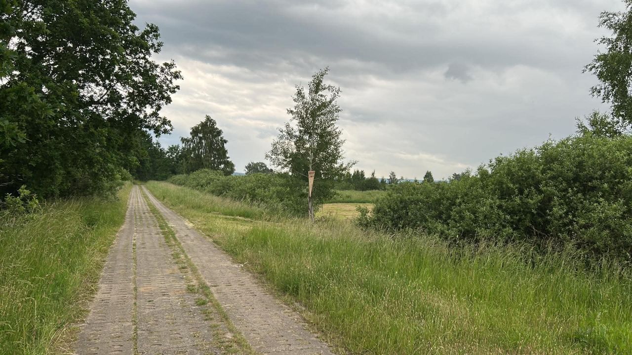 Działka rolna Moście Błota, Betonowa. Zdjęcie 11