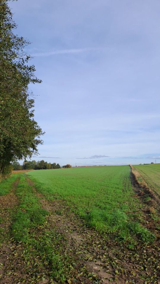 Działka budowlana Dobruchów. Zdjęcie 8