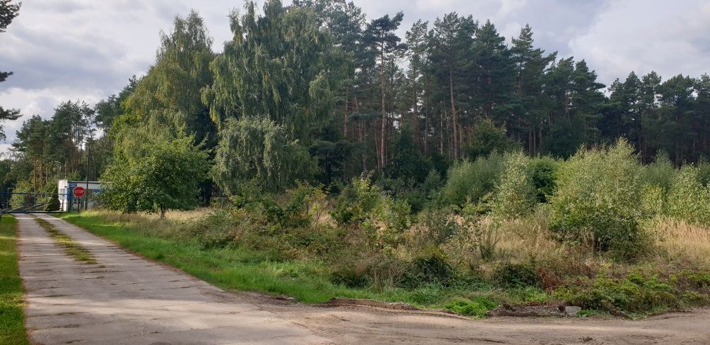 Działka budowlana Obroty. Zdjęcie 3